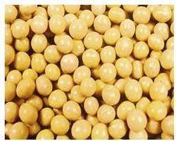 High Grade Organic Soybean Seeds