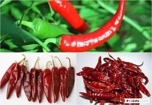 Pure Dried Red Chilli