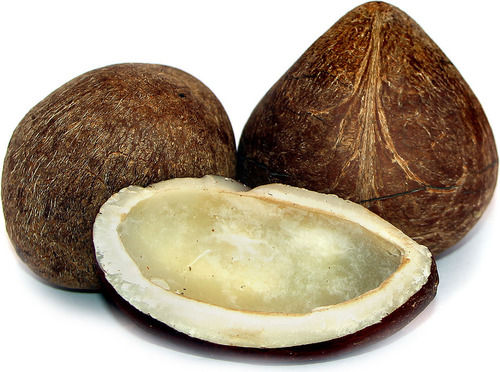 Dry Coconuts