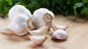 Organic Garlic