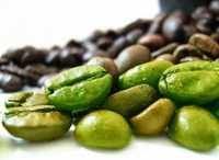 Premium Quality Green Coffee Bean
