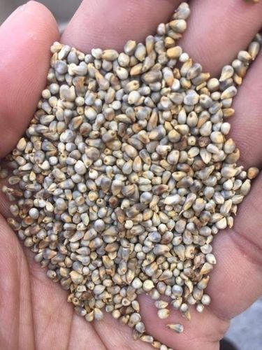 Pure Green Millets Purity: 99.99%