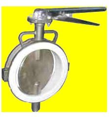 Ptfe Lined Butterfly Valves