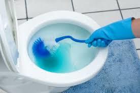 Blue Toilet Bowl Cleaner