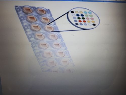 Ena 9 Multiplex Elisa Kit Light Source: No