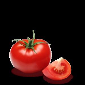 Fresh Tomato