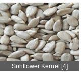 Sunflower Kernel