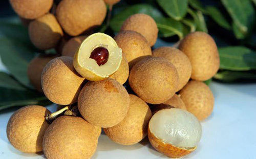 Fresh Longan Fruit