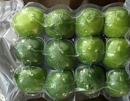 Fresh Seedless Lemon By Agricare Viet Nam Co., Ltd