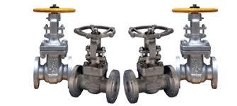 Monel Valves