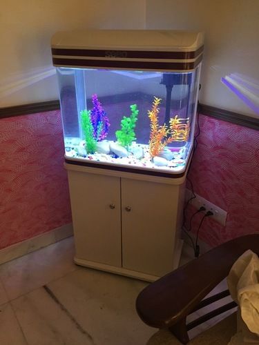 Moulded Aquarium 