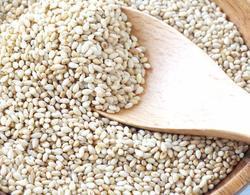 Sesame Seeds