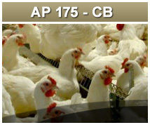 AP 175 Poultry Grade Feed