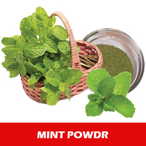 Herbal Mint Powder