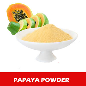 Premium Papaya Powder