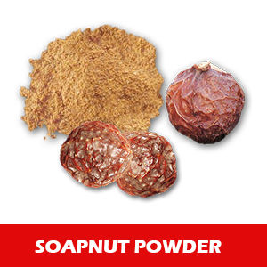 Top Quality Soapnut Powder