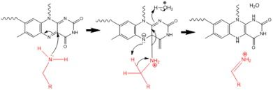 Monoamine Oxidase Inhibitor