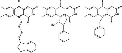 Monoamine Oxidase Inhibitor