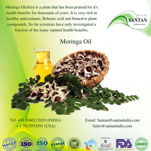 Organic Herbal Extract Moringa Essential Oil Odour:: Normal