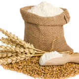 Wheat Flour