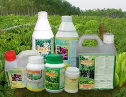 Agricultural Chemicals