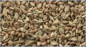 Ajwain Seed [ Carrom Seed ]