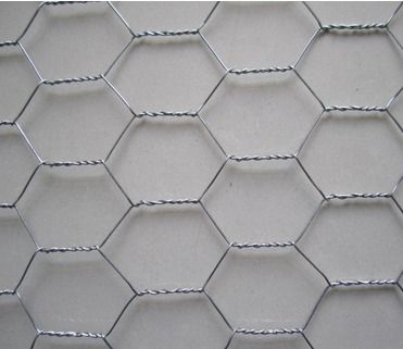 Hexagonal Chicken Wire Mesh