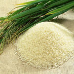 Non Basmati Rice - Premium Quality Long Grain, Excellent Energy Source, High in Carbohydrates and Protein