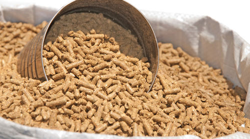 Animal Feed Supplements - Superior Quality Formulation | Market Competitive Pricing, Advanced Processing Technology