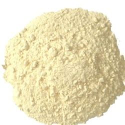 Dry Garlic Extract Powder
