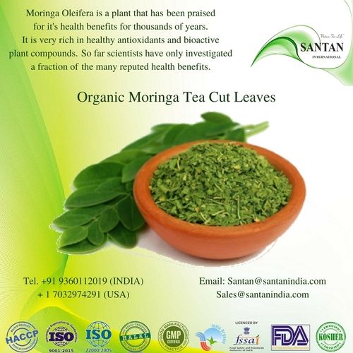 Organic Moringa Oleifera Tea Cut Leaf