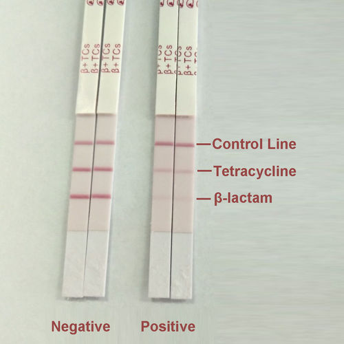 Beta-Lactam & Tetracycline Combo Test Kit