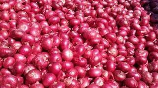 Red Onion