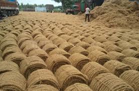 Coconut Coir Fiber Rope