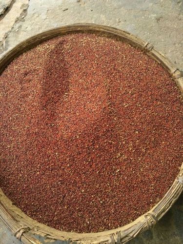 Finger Millet