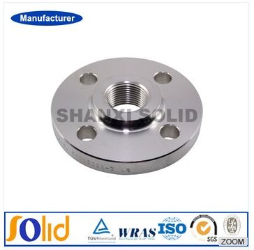 Silver Ansi Rf 304L Stainless Steel Forged Threaded Flange