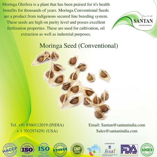 Organic Propagation Conventional Moringa Seeds