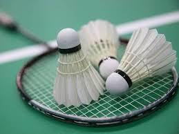 Badminton Racket Shelf Life: 12 Months