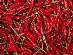 Dry Red Chillies