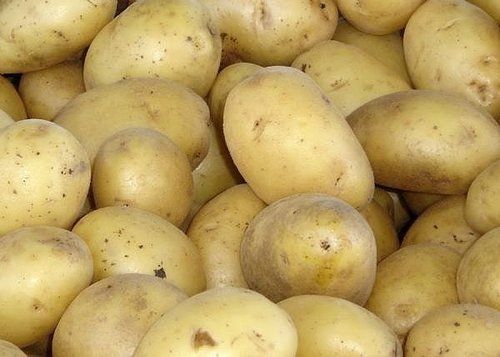 Fresh Lokar Potato