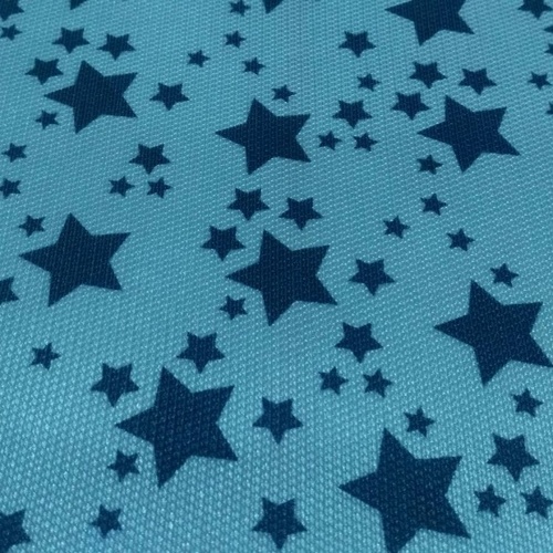 608-WY09365-300D Polyester Fabric With Print Finished W/R 2 PU Coating