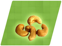 Cashew Nuts