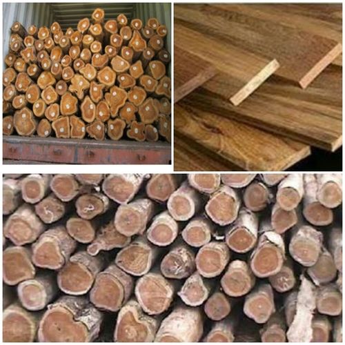 Fine Quality Ghana Teak Wood