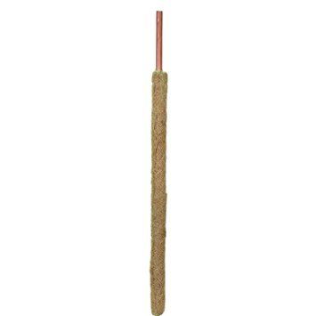 Moss Sticks - High-Quality Natural Moss, Durable Plastic Support for Indoor Plants