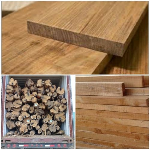 Premium Quality Panama Teak Wood