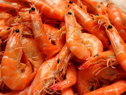 Shrimp Seafood