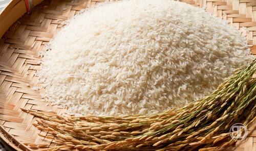 Basmati Rice - Premium Quality, Rich Taste & Nutritional Value | Hygienically Packed, Ideal for Jeera-Rice, Biryani & Pulao