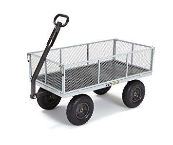 Motor Cart