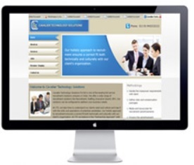 Development Service - Elegant Design & Aesthetic Optimization | Enhanced Customer Engagement First Impression Focus Long-Term Growth Strategy