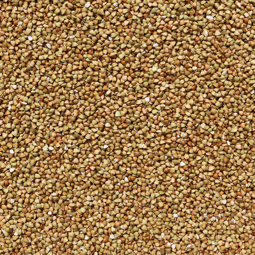 Buckwheat Groat